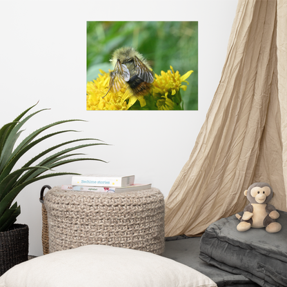 Poster - Hummel 2