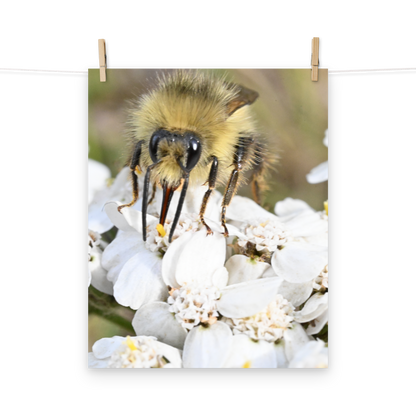 Poster - Hummel 4